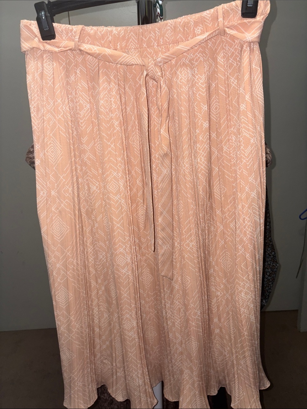 Alice Blue Peach Pleated Maxi Skirt with Tie Waist